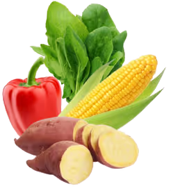 Fresh Vegetables